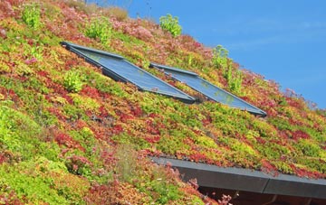 South Bockhampton living roof systems