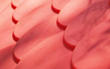 South Bockhampton plastic roof costs